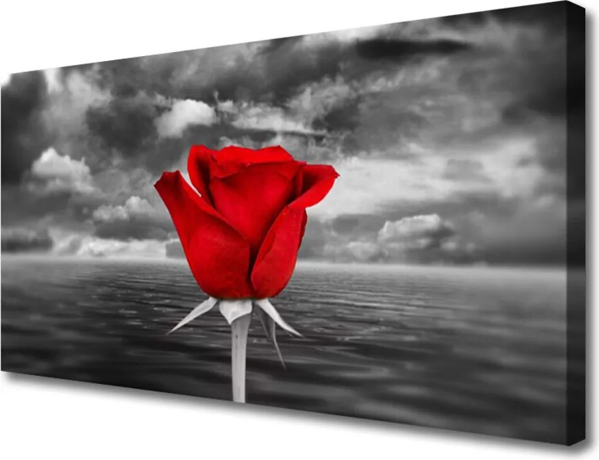 Obraz na płótnie Dzika Róża nad Brzegiem Morza