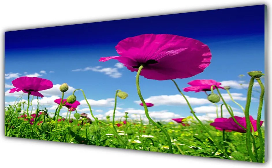 Panel nad blat kuchenny Horyzont nad Kwitnącą Łąką