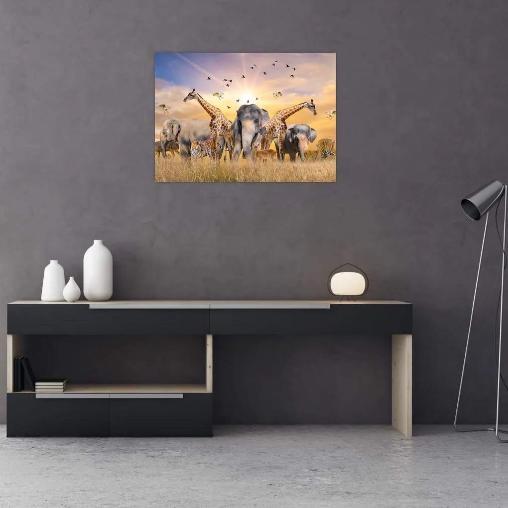 Obraz - Afrykańskie zwierzęta (70x50 cm)