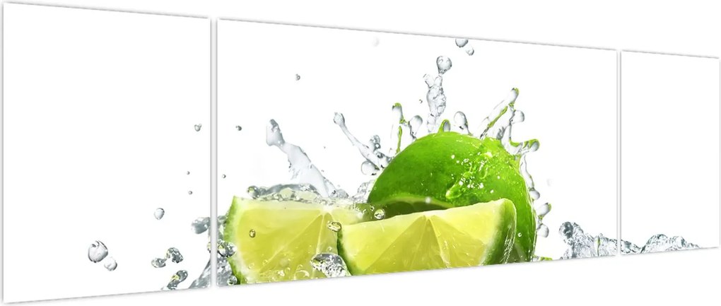 Obraz - Limes (170x50 cm)