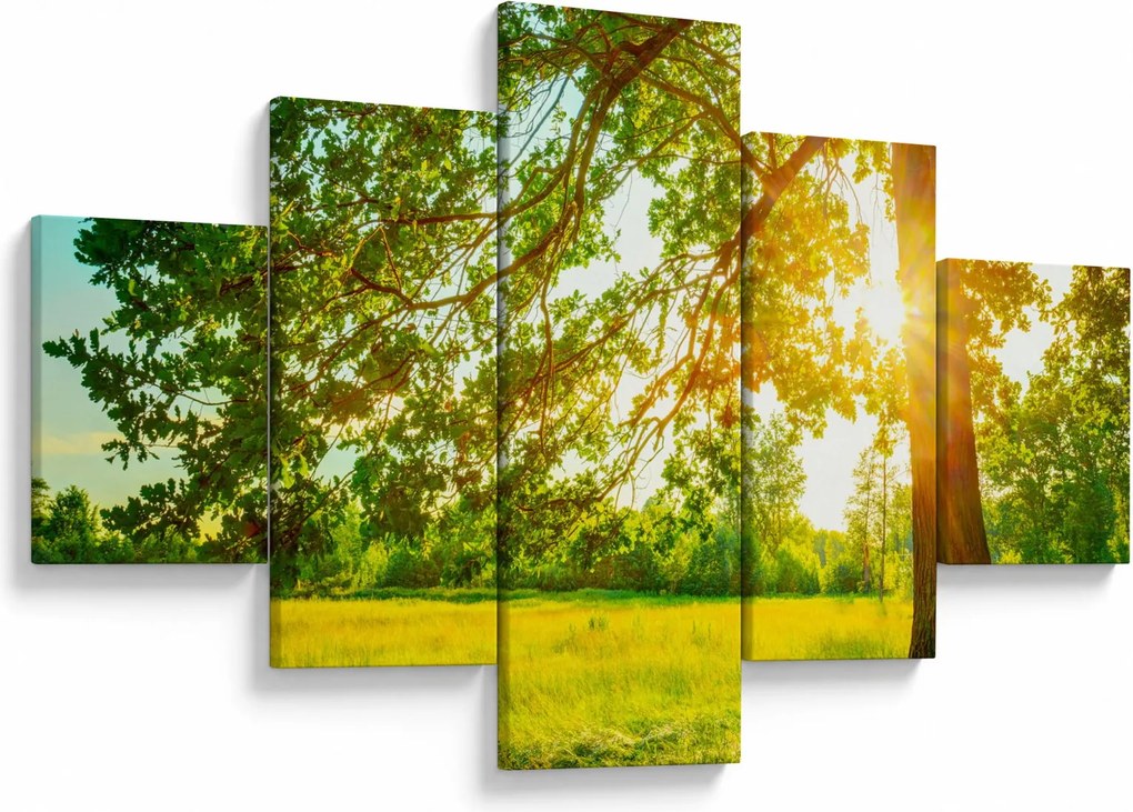 Obraz - Słoneczny Las (125x70 cm)