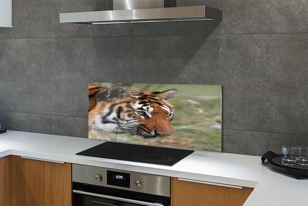 Panel szklany do Kuchni Władca Dżungli w Gęstwinie