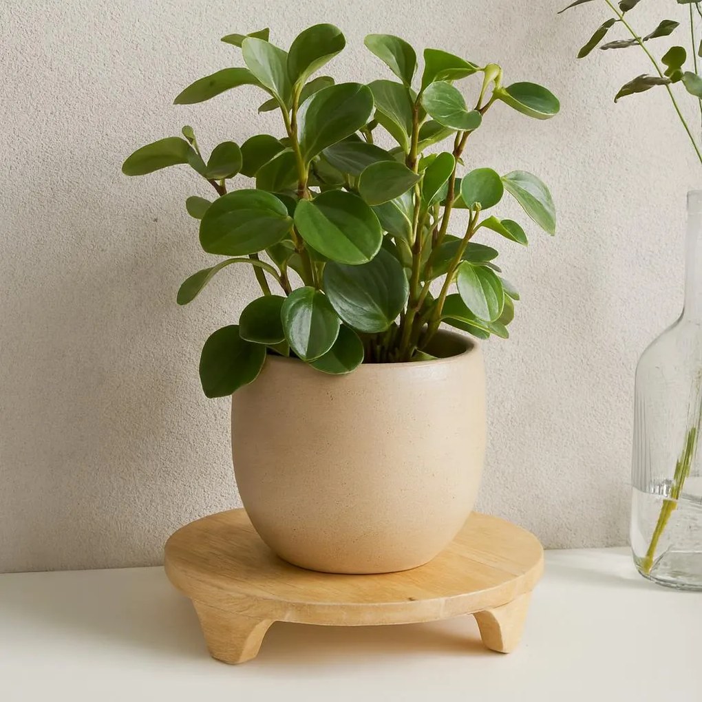 Drewniana podstawka pod kwiaty CON, drewno mango