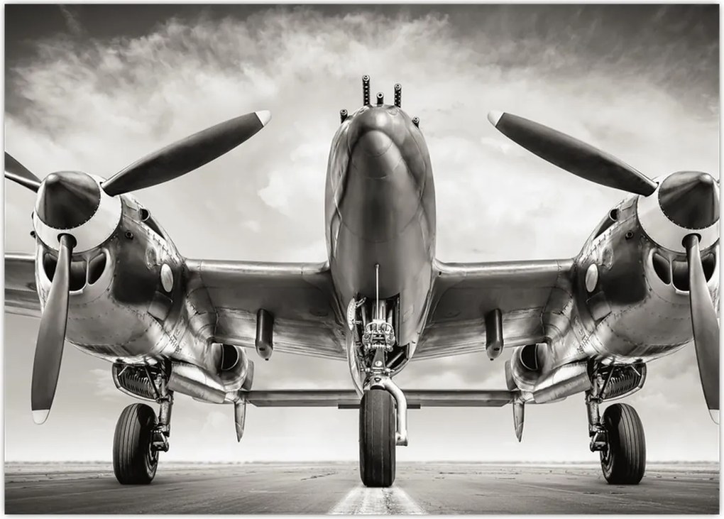 Obraz - Warbird (70x50 cm)