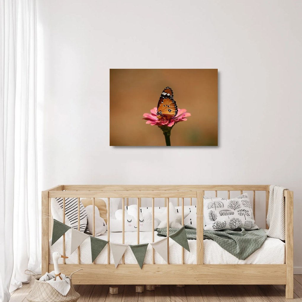 Obraz na szkle - motyl na kwiatku (70x50 cm)