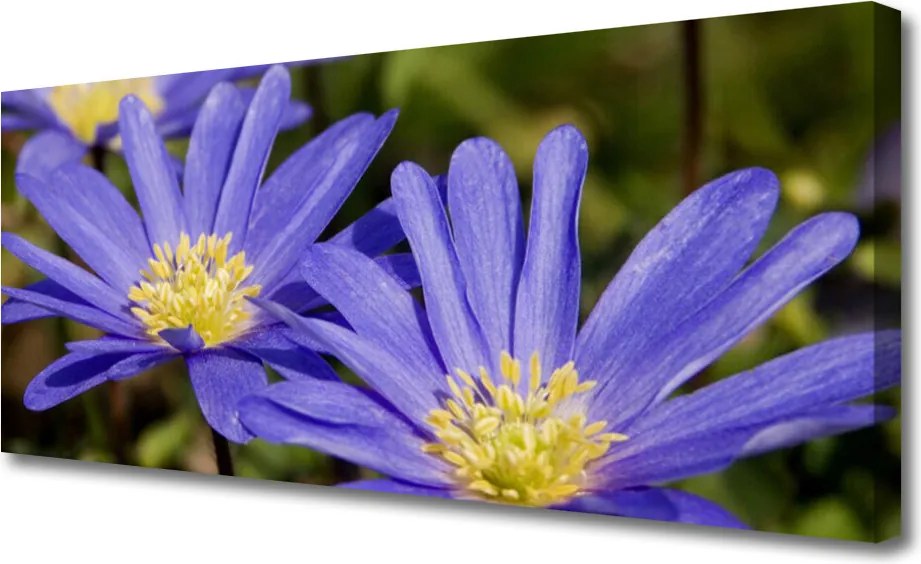 Duży obraz na płótnie Botaniczna Elegancja