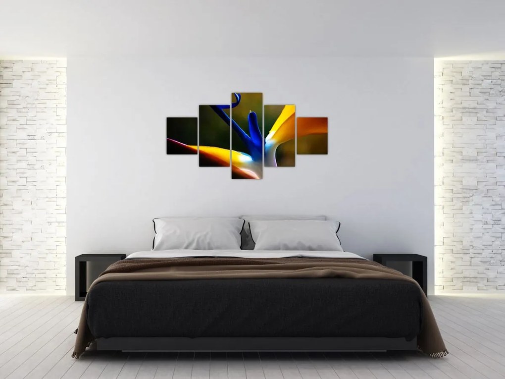 Obraz - Egzotyczny kwiat (125x70 cm)