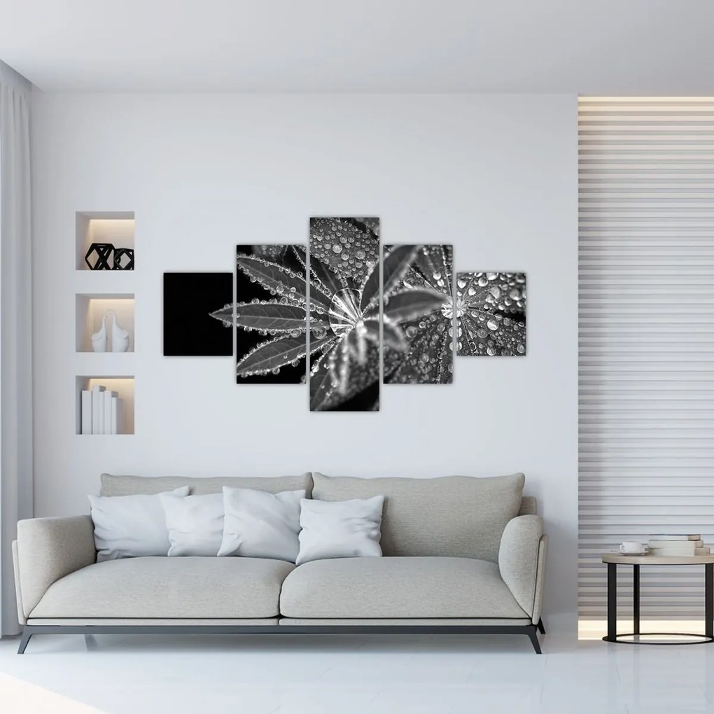 Obraz - Liście z kroplami (125x70 cm)