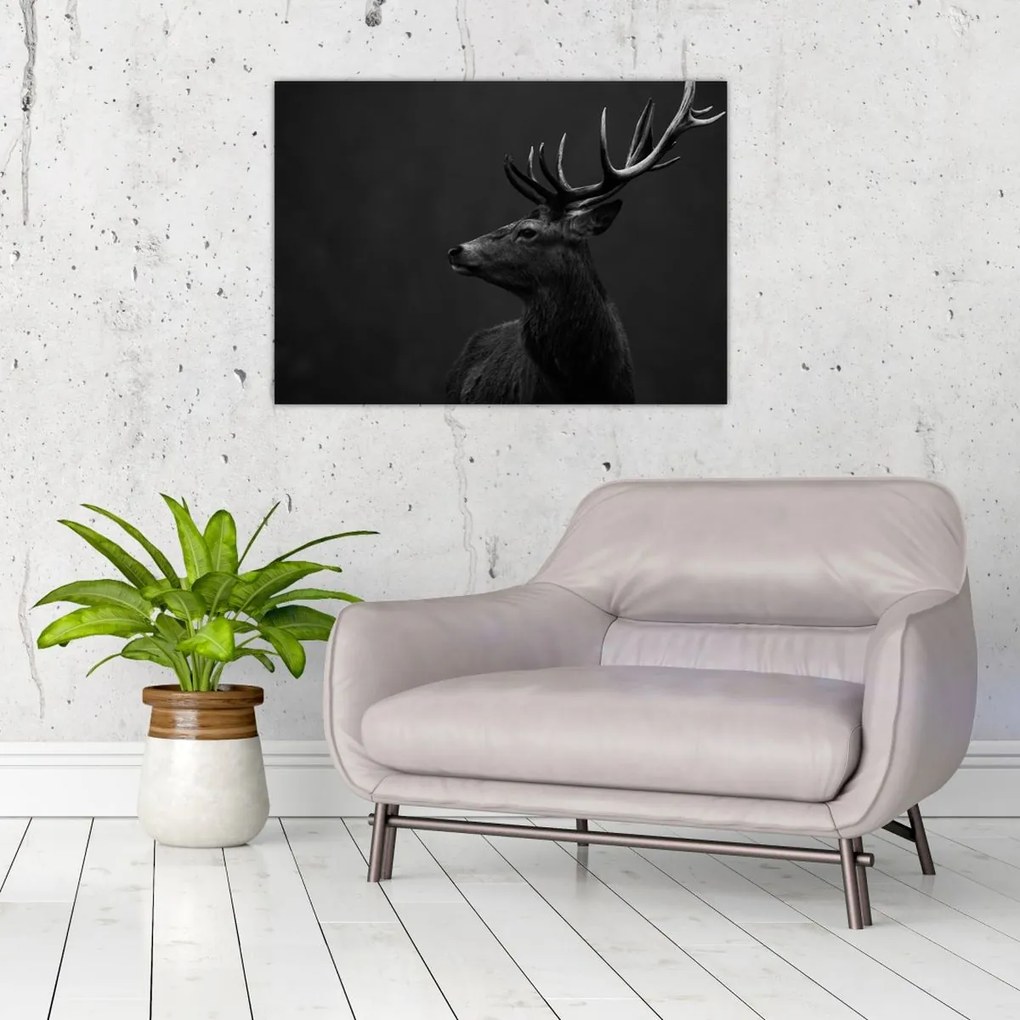 Obraz - Portret jelenia (70x50 cm)