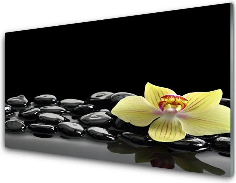 Panel Szklany Modernistyczny Akcent Kuchenny