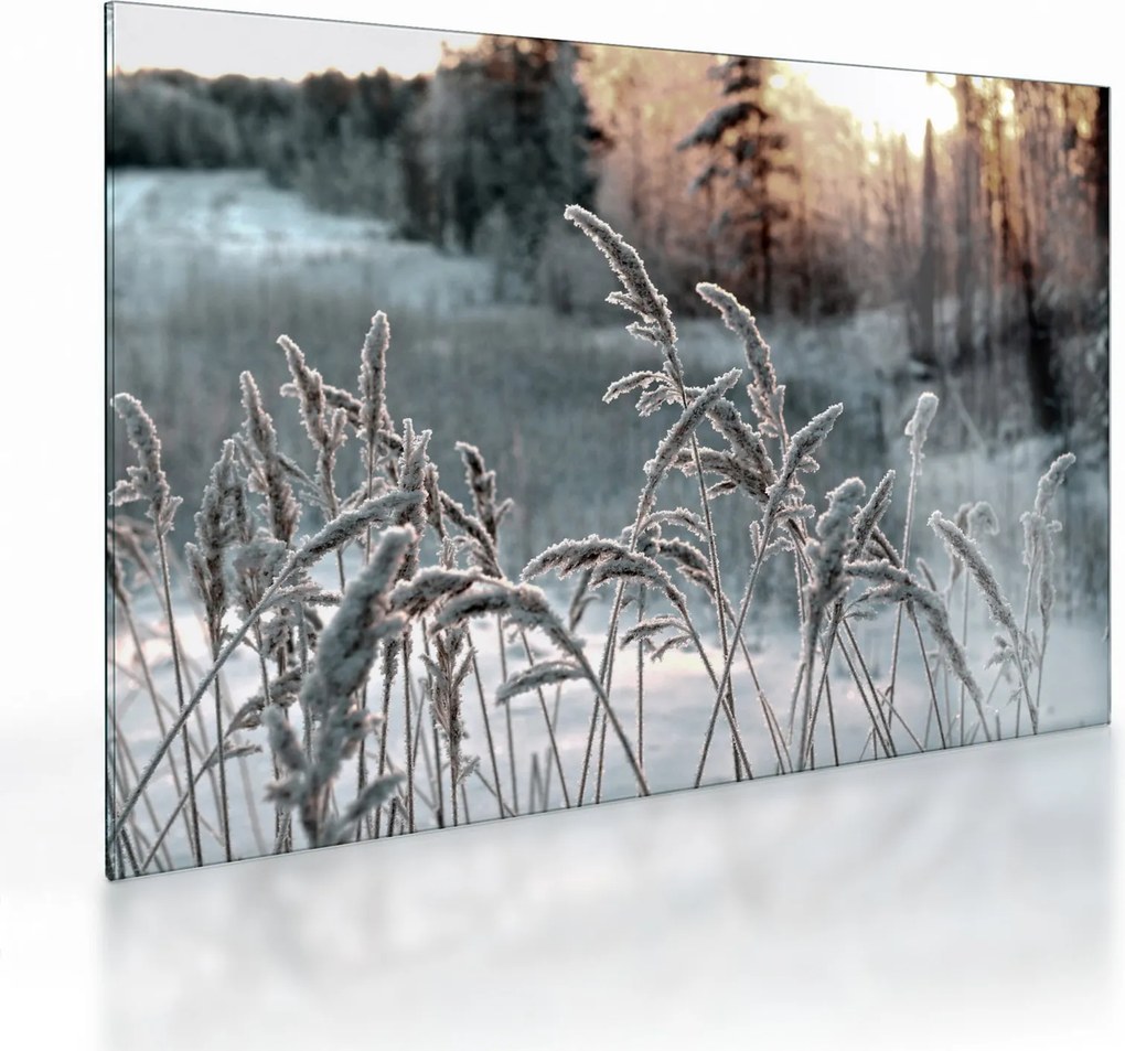 Obraz na szkle - Frozen Meadow (70x50 cm)