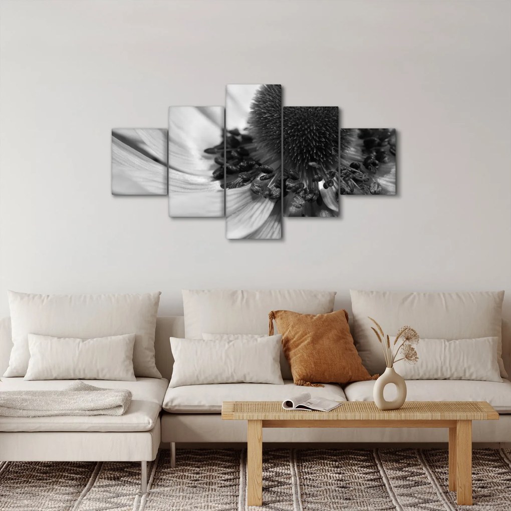 Obraz - Kwiat w czerni i bieli (125x70 cm)