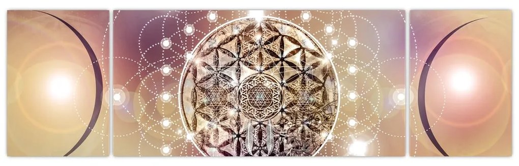 Obraz - Mandala z elementami (170x50 cm)