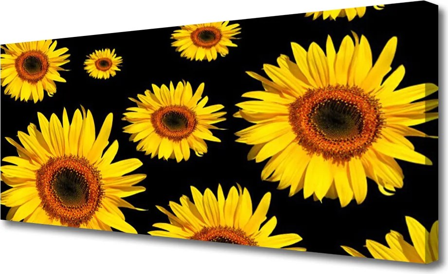 Obraz canvas Słoneczniki w Pełnym Słońcu