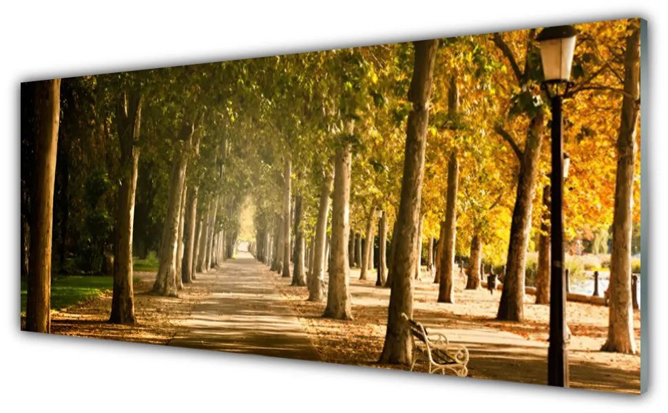 Obraz na Szkle Park Alejka Krajobraz