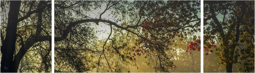 Obraz wschodu słońca (170x50 cm)