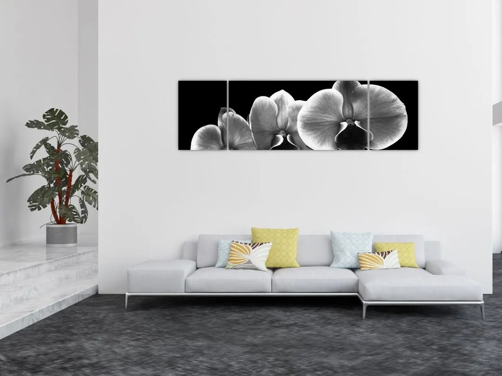 Obraz kwiatu orchidei (170x50 cm)