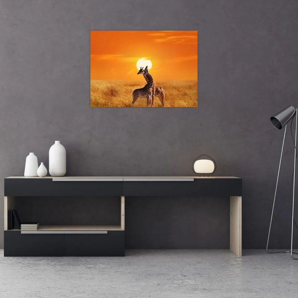 Obraz - Żyrafy w Parku Narodowym Serengeti (70x50 cm)