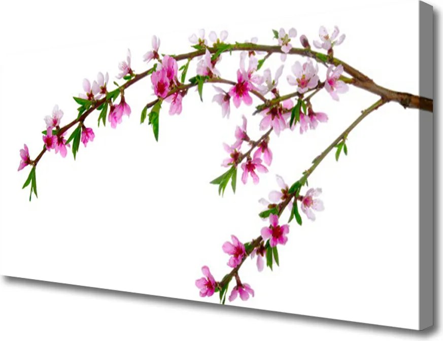 Obraz na płótnie Kwitnąca Gałązka Jabłoni