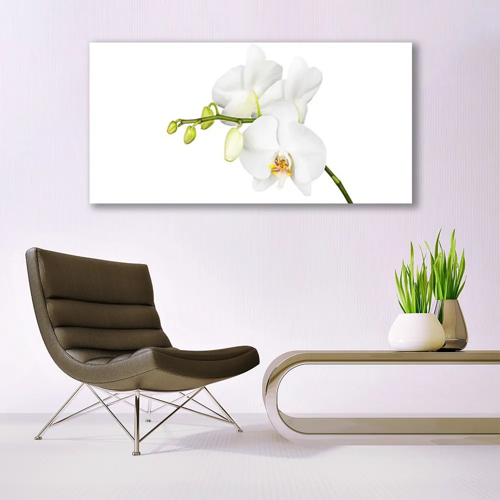 Obraz canvas Egzotyczna Elegancja Orchidei