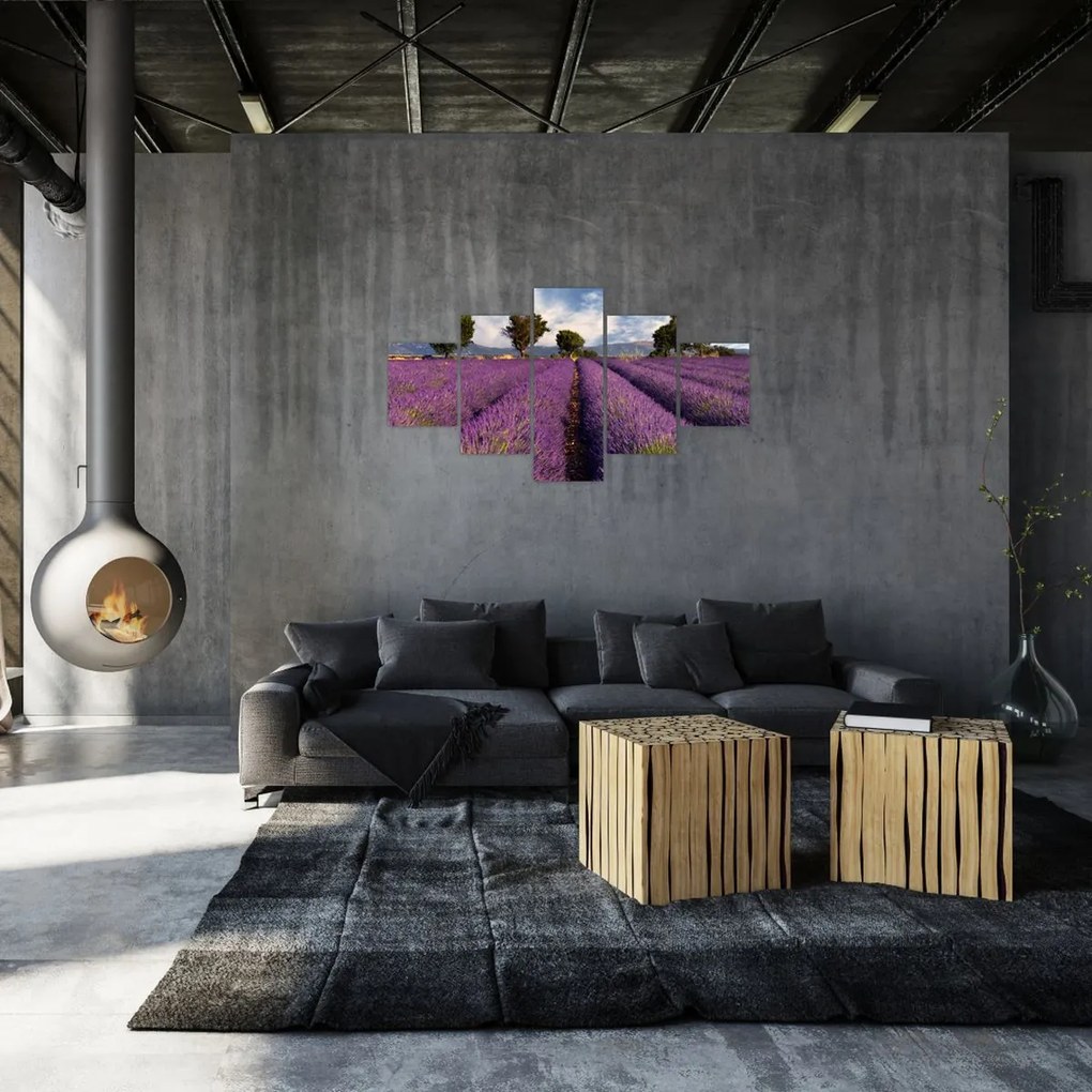 Obraz - Pole lawendy i góry (125x70 cm)