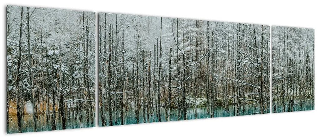 Obraz - Turkusowy staw, Biei, Japonia (170x50 cm)