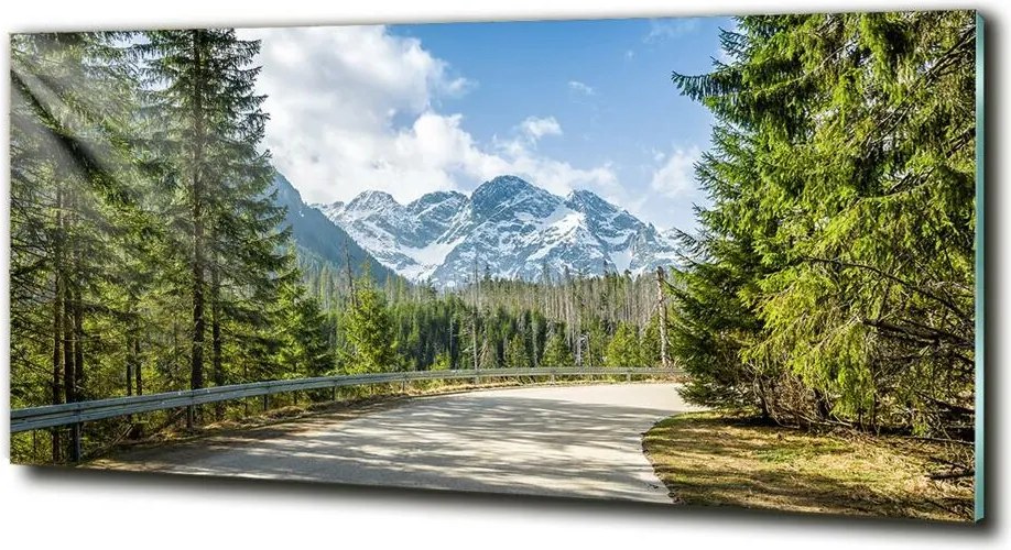 Foto obraz szkło hartowane Droga Tatry