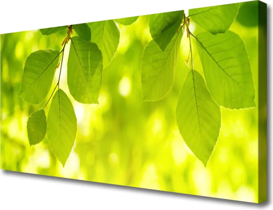 Obraz na płótnie Zielone Liście w Stylu Modern