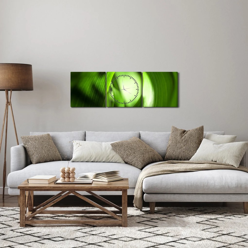 Obraz - Źdźbło trawy (z zegarem) (90x30 cm)