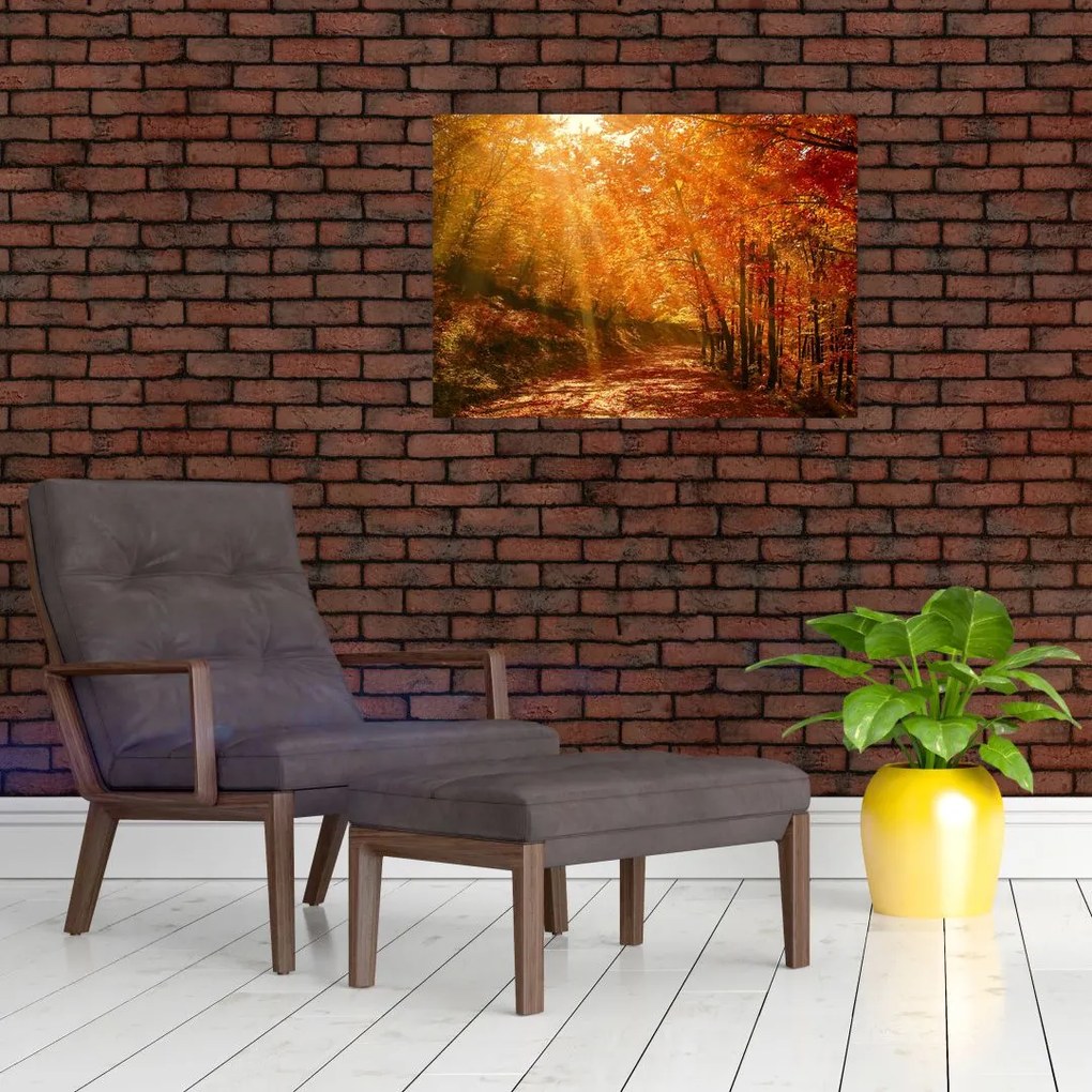Obraz jesiennego lasu (70x50 cm)