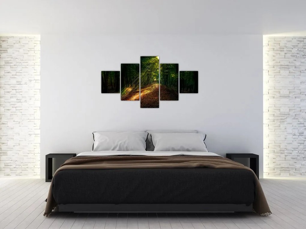 Obraz leśnej ścieżki (125x70 cm)