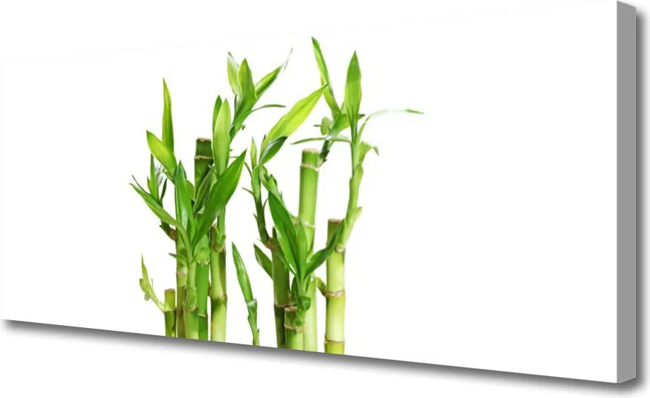Zdjęcie na płótnie Bambus w Kwiatowym Towarzystwie
