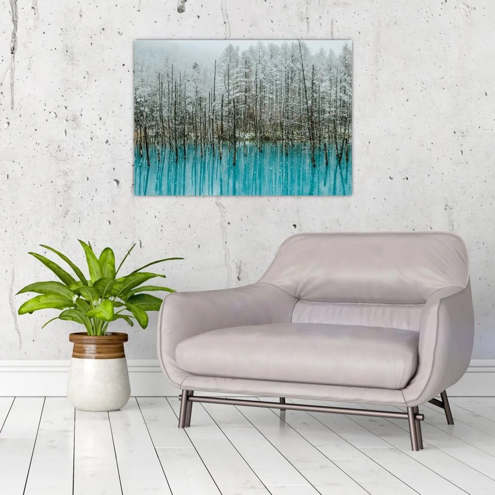 Obraz na szkle - Turkusowy staw, Biei, Japonia (70x50 cm)