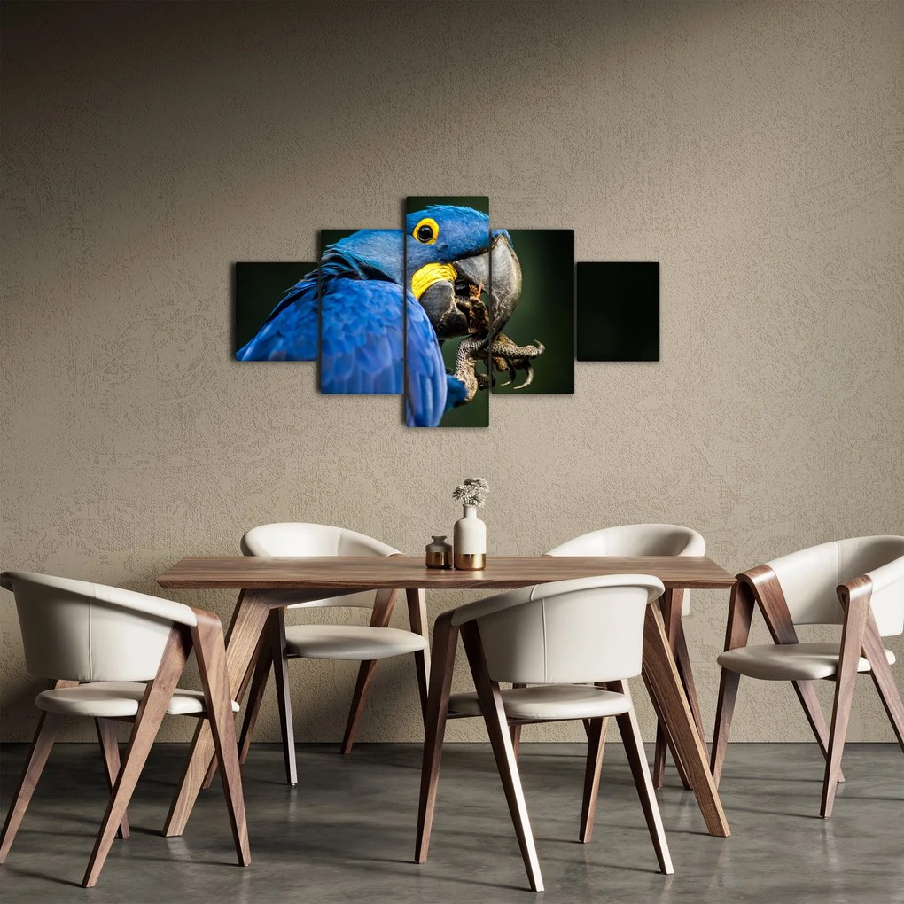 Obraz papugi (125x70 cm)