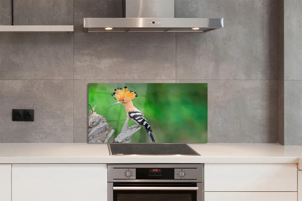 Panel szklany do Kuchni Papuga w Sercu Dżungli