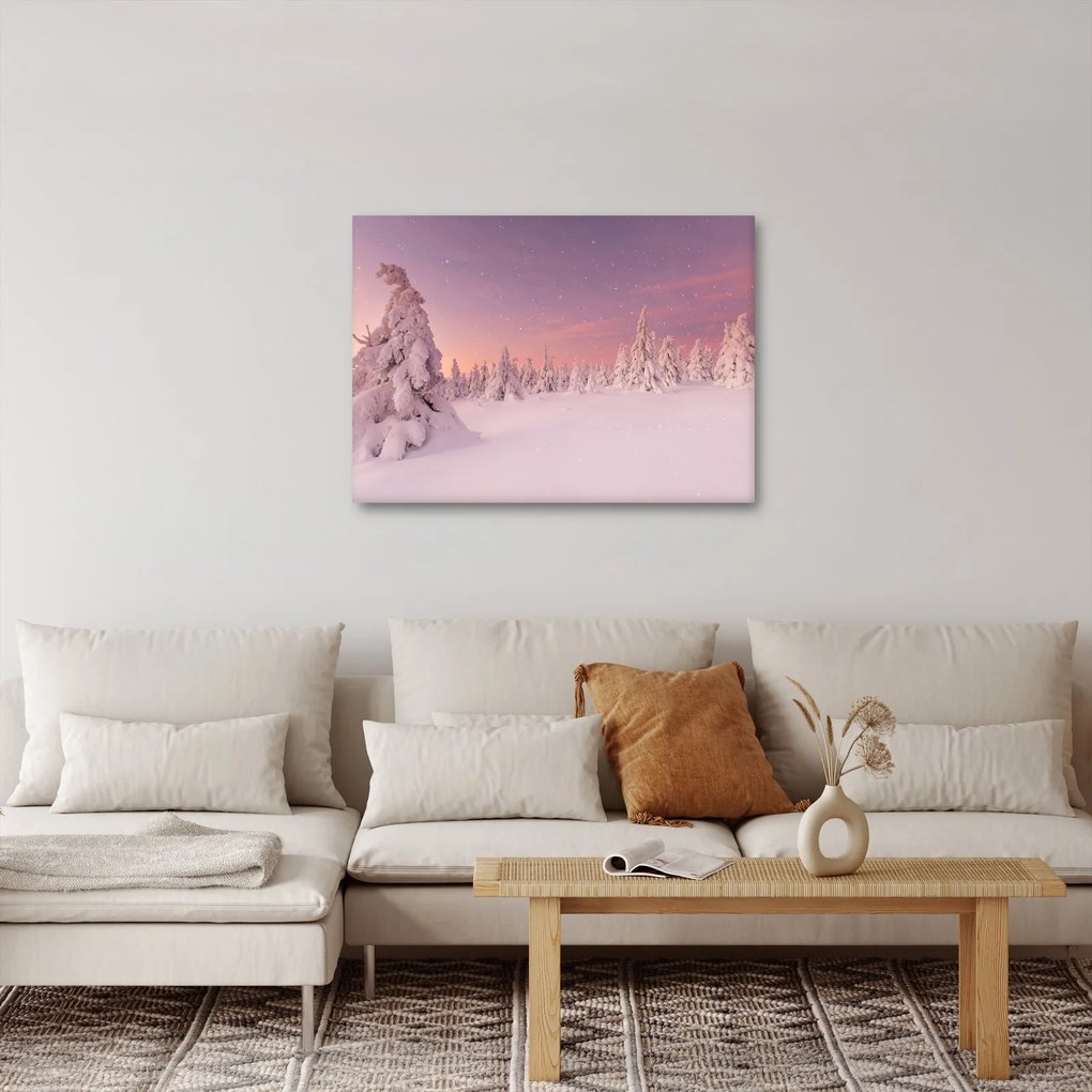 Obraz - Drzewa pod warstwą śniegu (70x50 cm)