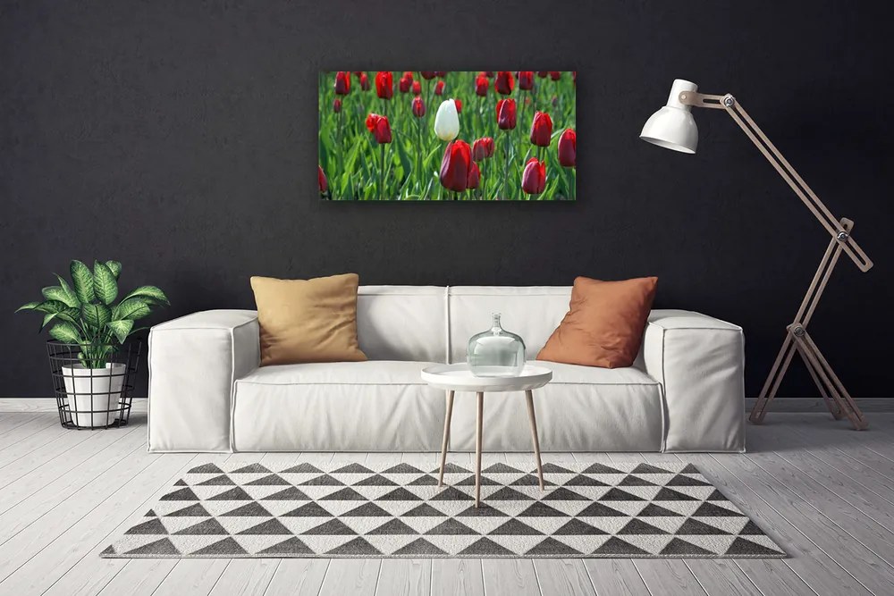 Obraz Canvas Tulipany Kwiaty Natura