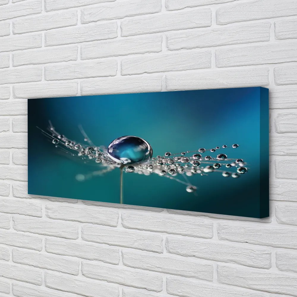 Obraz canvas na ścianę Makro Dmuchawca z Rosą