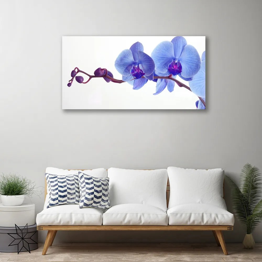 Obraz na płótnie Letnia Kompozycja Kwiatowa