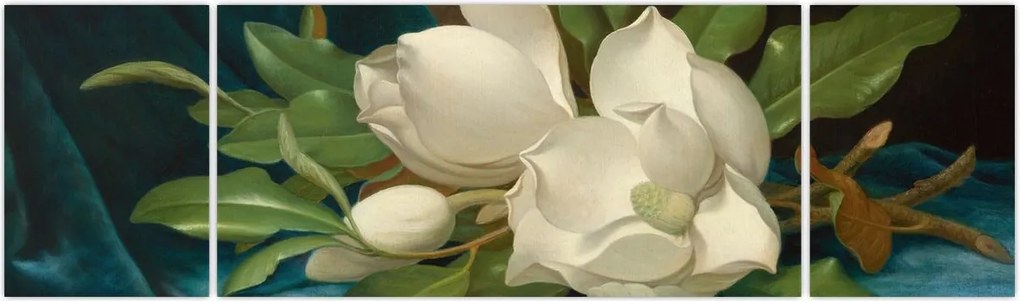 Obraz - Martin Johnson Heade, Giant Magnolias on a Blue Velvet Cloth, reprodukcje (170x50 cm)