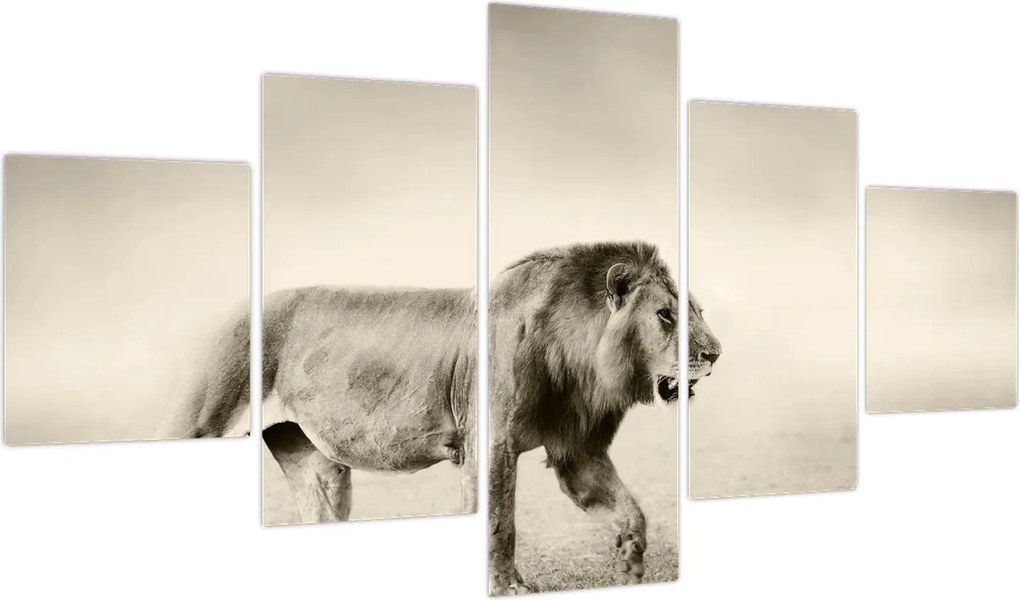 Obraz - Głodny lew (125x70 cm)