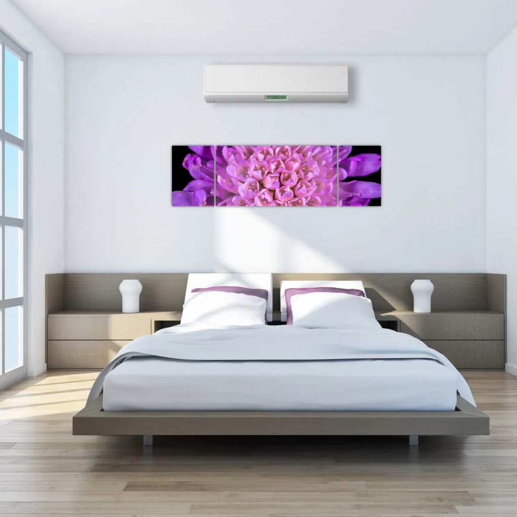 Szczegółowy obraz kwiatu (170x50 cm)