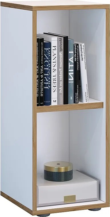 Shelf Books Folder Plik Shelf Salia 2f