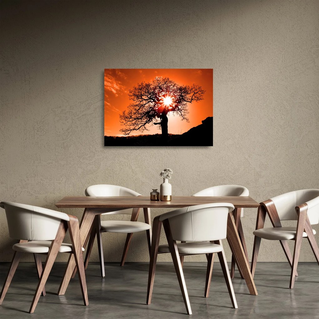 Obraz na szkle - Dąb o zachodzie słońca (70x50 cm)