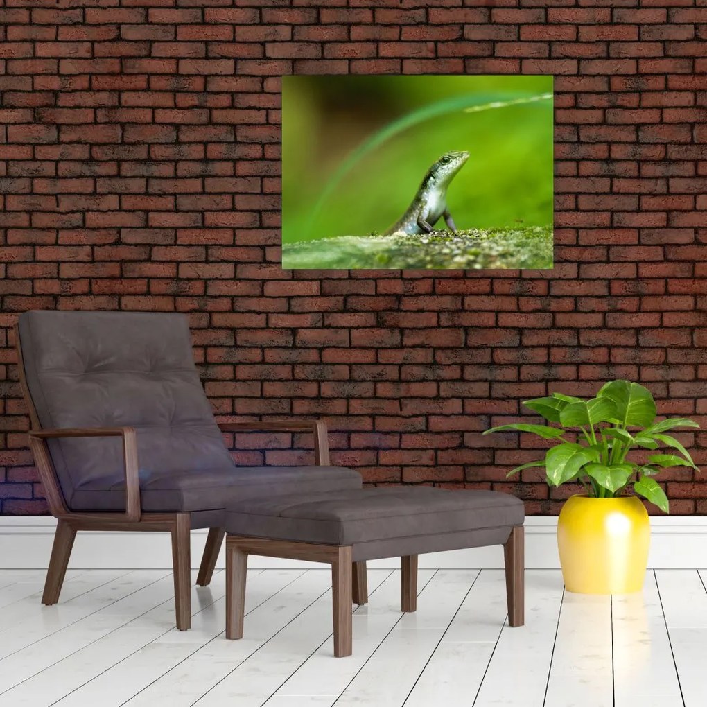 Obraz na szkle - jaszczurka (70x50 cm)