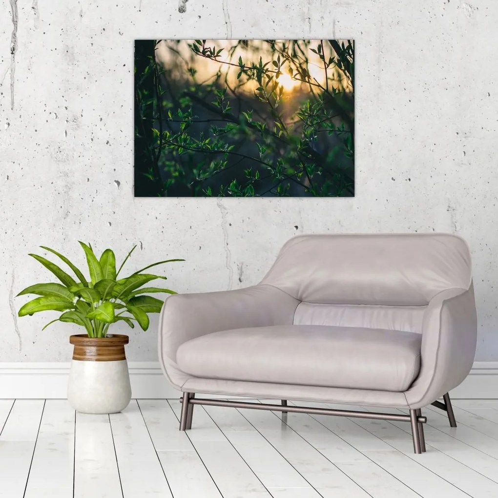 Obraz słońca przeświecającego przez gałęzie drzew (70x50 cm)