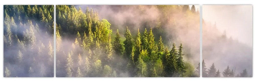 Obraz górskiego krajobrazu (170x50 cm)