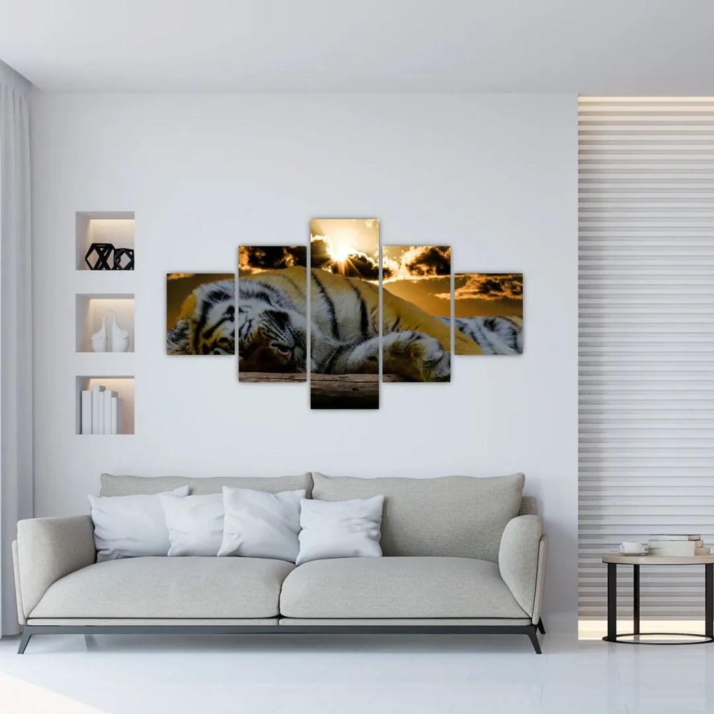 Obraz śpiącego tygrysa (125x70 cm)