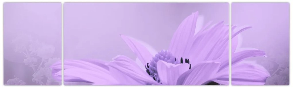 Obraz - Fioletowy kwiat (170x50 cm)