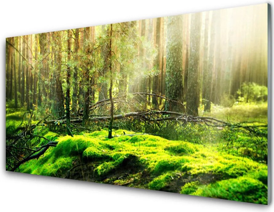 Panel Szklany do Kuchni Naturalny Zielony Mech